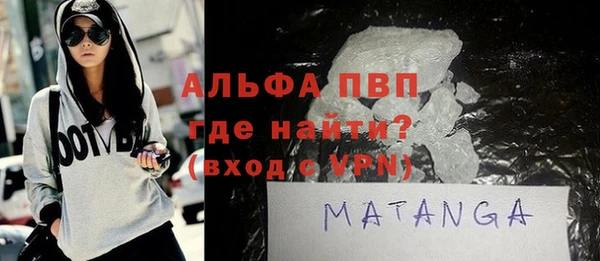 хмурый Аркадак
