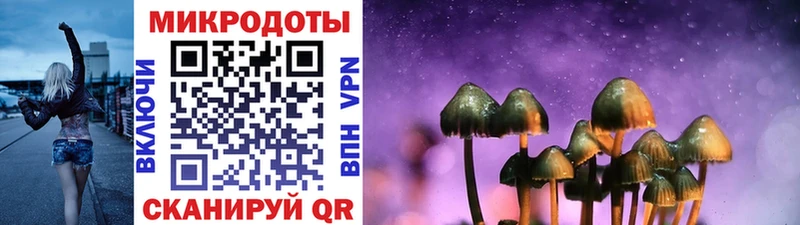 где купить   Сокол  Галлюциногенные грибы мухоморы 