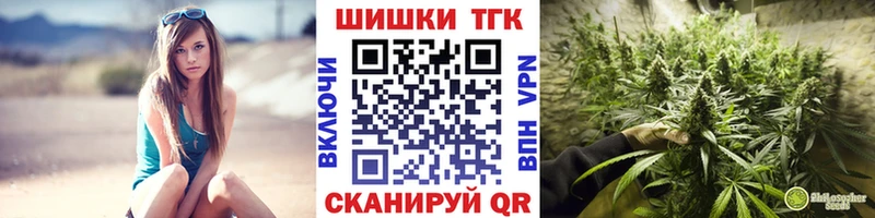 блэк спрут ссылки  Сокол  Конопля планчик  где найти  